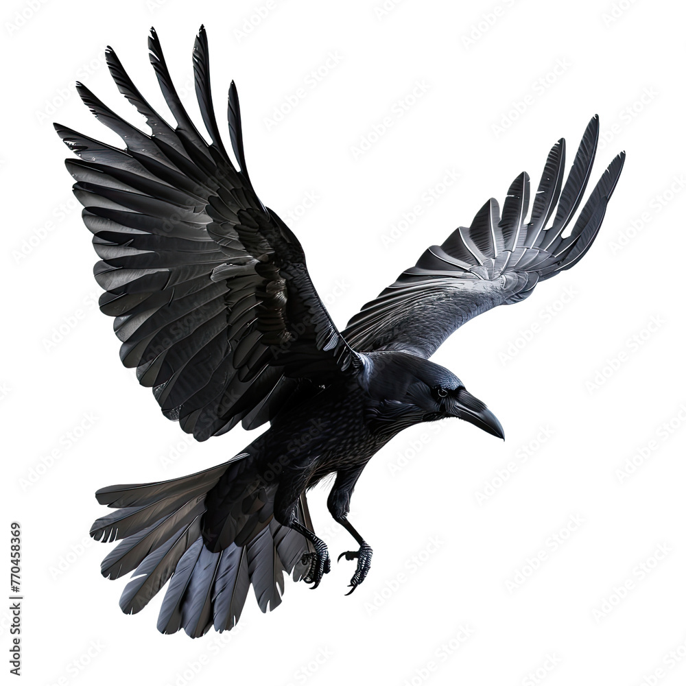 Naklejka premium flying raven, png file of isolated cutout object on transparent background