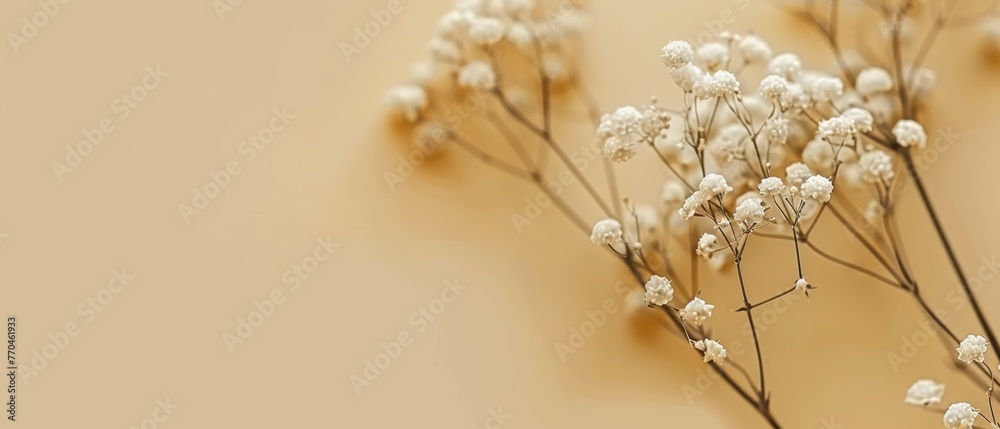   A group of tiny white blossoms rest atop a pure white desk surface, adjacent to a tawny-brown and beige wall
