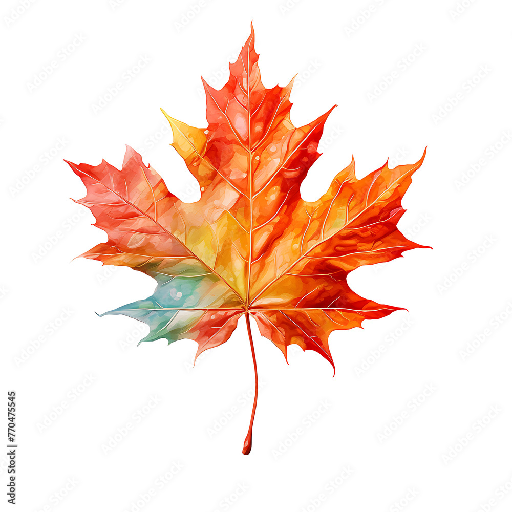 Fototapeta premium Bright Maple Leaf Watercolor