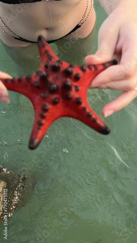 Close up of a vibrant red starfish resting on a persons open hand above tropical water, with sandy beach background symbolizing marine life and eco tourism. High quality 4k footage photo