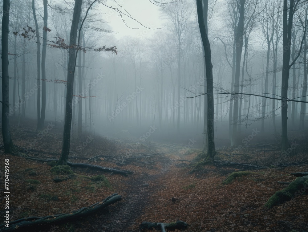 Obraz premium Forest full of tall, bare trees, thick blanket of leaves covers ground.