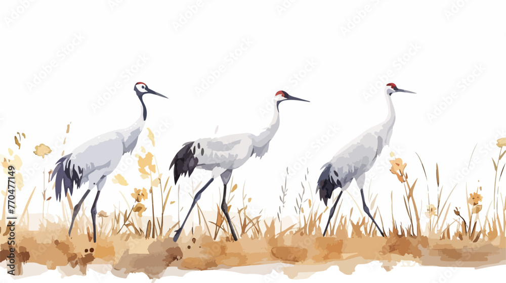 Watercolor painting of european crane duricng autumn  - obrazy, fototapety, plakaty 