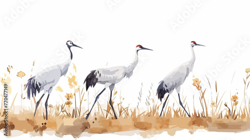 Watercolor painting of european crane duricng autumn  photo