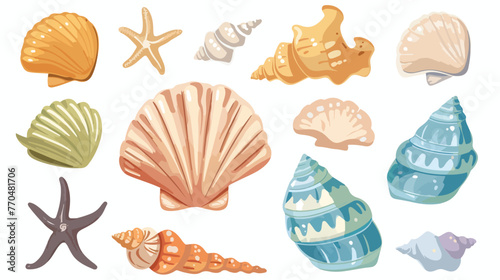 Vacation memories from beach seashell shellfish flat