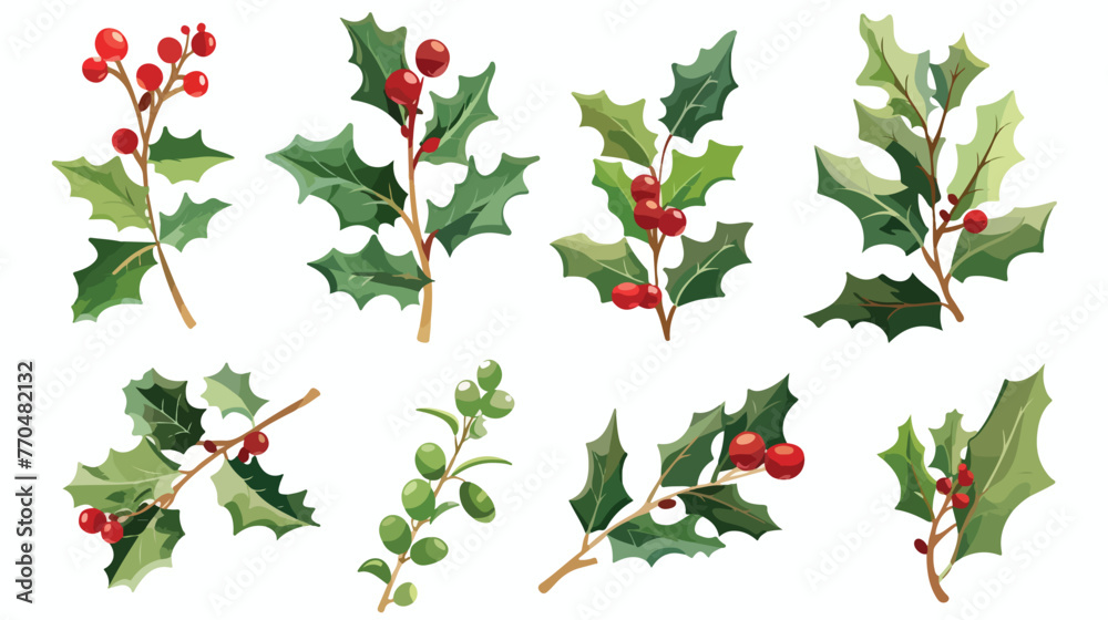 Vector illustration for design of holly berry flat vector
