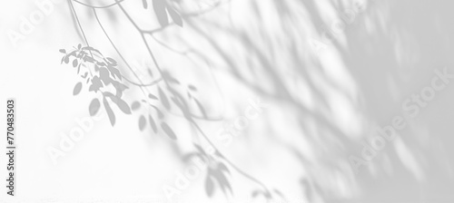 shadow overlay effect isolated on transparent. Transparent  shadows and light from leaves and  branches. Mockup of leaf shadow and lightning.
