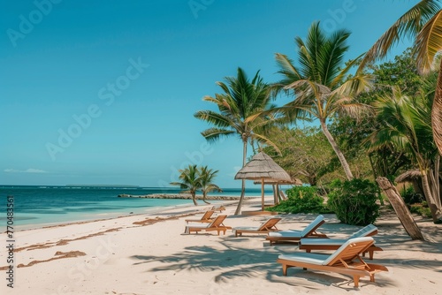 beach with palm trees, sunbed and sun