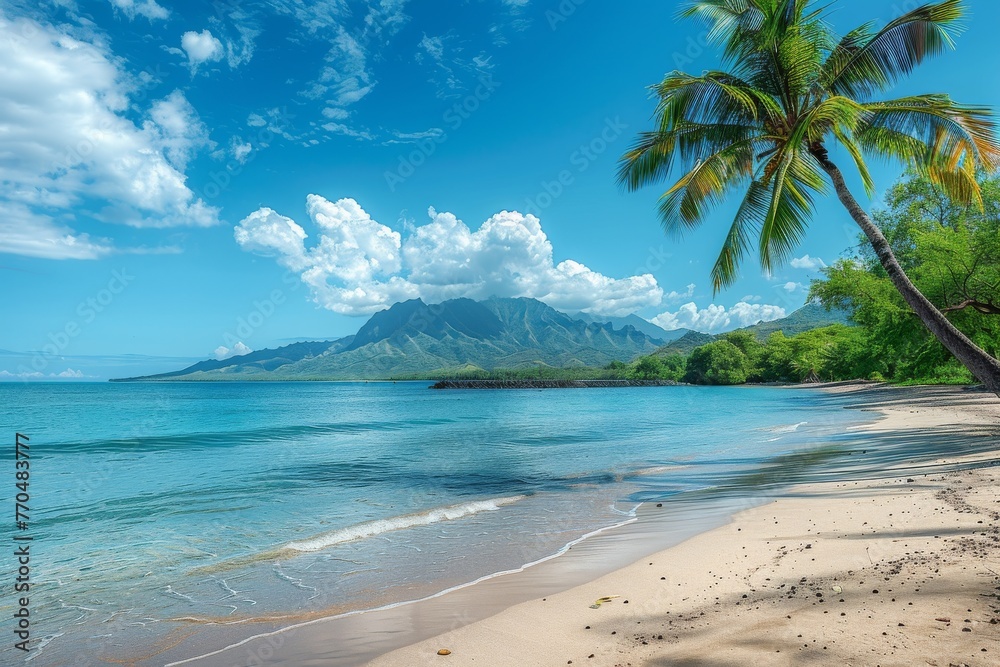 Beach with blue water, white sand and palm trees