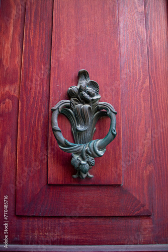 door knocker in the form of a lion on a wooden door