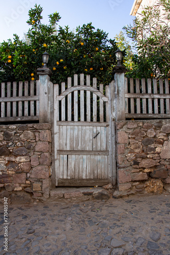Old wooden gate in a stone wall of an old house with orange tree.