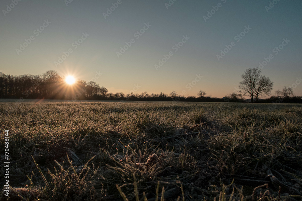 Sunrise in nature in Alsace (France) Sunrise in nature in Alsace (France)