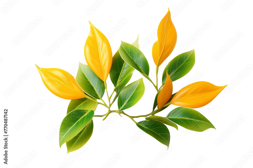 Green Leaves Adorn Branch in Spring. On a White or Clear Surface PNG Transparent Background. Green Leaves Adorn Branch in Spring. On a White or Clear Surface PNG Transparent Background.