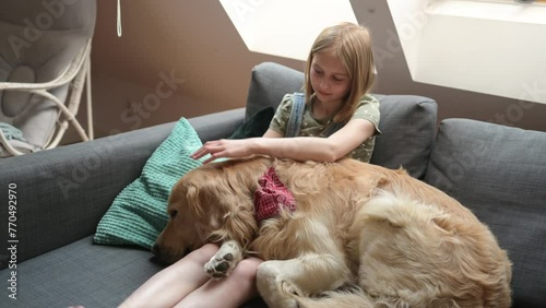 Girl child with golden retriever dog sleeping on her legs at home. Pretty preteen kid with purebred doggy pet in loft room together photo