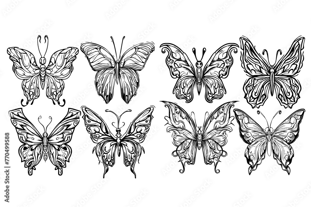 Fototapeta premium butterfly picture, It's a very beautiful picture.