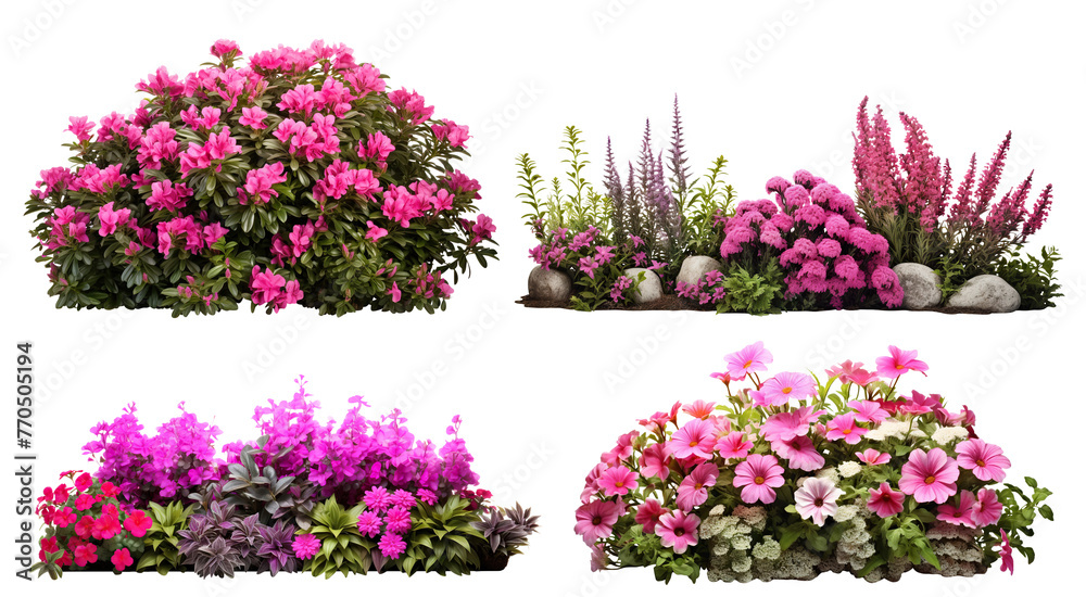 Obraz premium Set of garden flowers, cut out