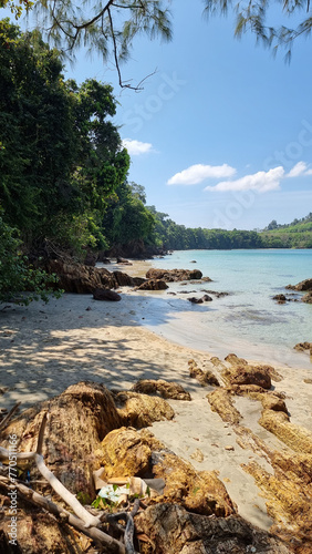 Serene sandy beach lined with lush trees, with calm waters in the background under a clear sky © Fokke Baarssen