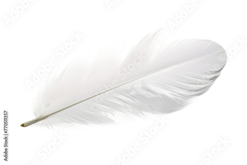 White Feather Resting on White Background. On a White or Clear Surface PNG Transparent Background.