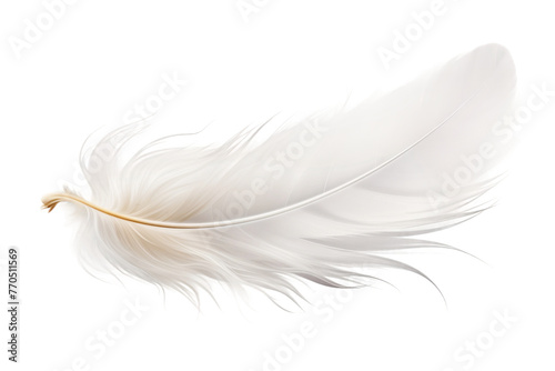 White Feather Resting on White Surface. On a White or Clear Surface PNG Transparent Background. photo