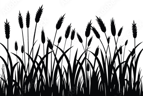 Black grass silhouettes isolated on a white background