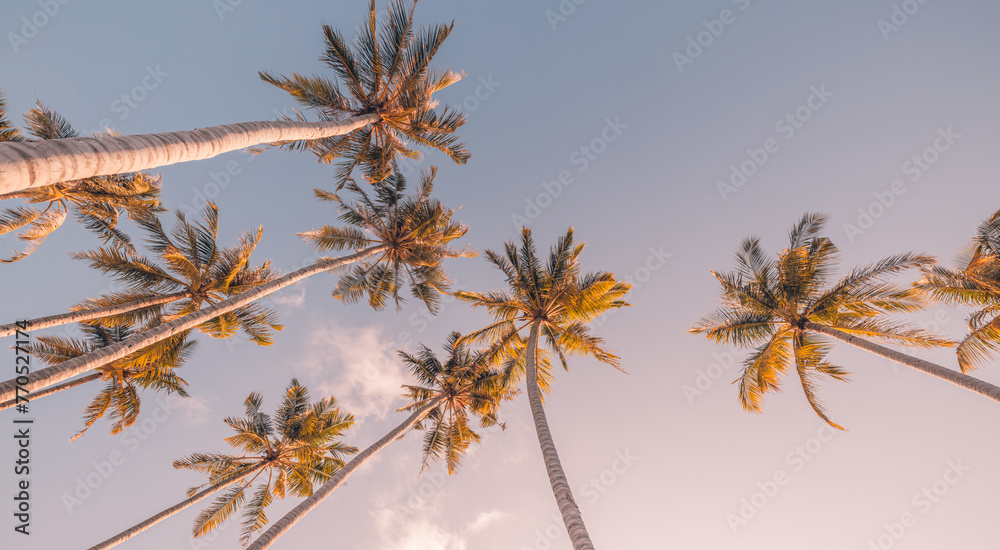 Fototapeta premium Tropical relax inspire trees background concept. Coco palms peaceful sunset sky. Exotic summer nature, green orange leaves, natural landscape. Summer spring paradise island. Tourism vacation pattern