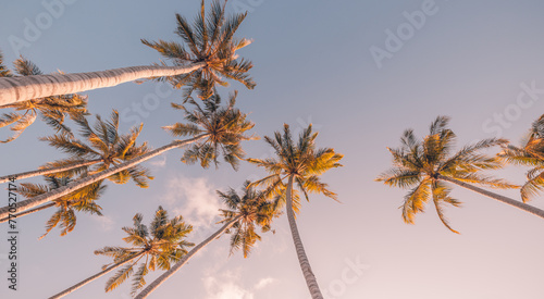 Tropical relax inspire trees background concept. Coco palms peaceful sunset sky. Exotic summer nature, green orange leaves, natural landscape. Summer spring paradise island. Tourism vacation pattern © icemanphotos