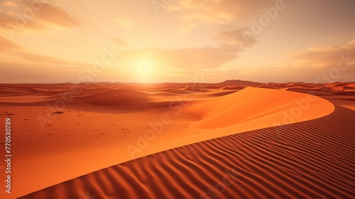 The dunes of the desert