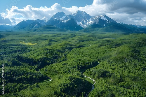  aerial view of a panorama of undulating forest terrain, framed by majestic snow-capped peaks 