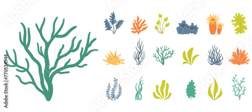 Collection of seaweeds, underwater sea plants, shells. Vector illustration of seaweeds, planting, marine algae and ocean corals silhouettes. Collection of cartoon algae. photo