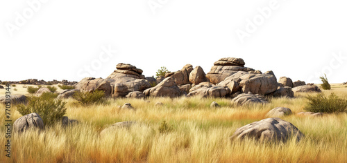 Savanna with faded grass and rocks  cut out