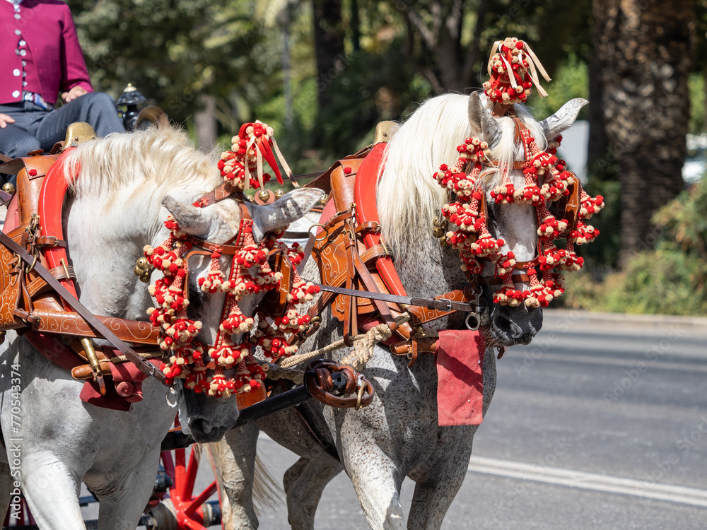 Obraz premium Horses with ornaments on the head saddlery details for carriage horses at the Málaga Fair