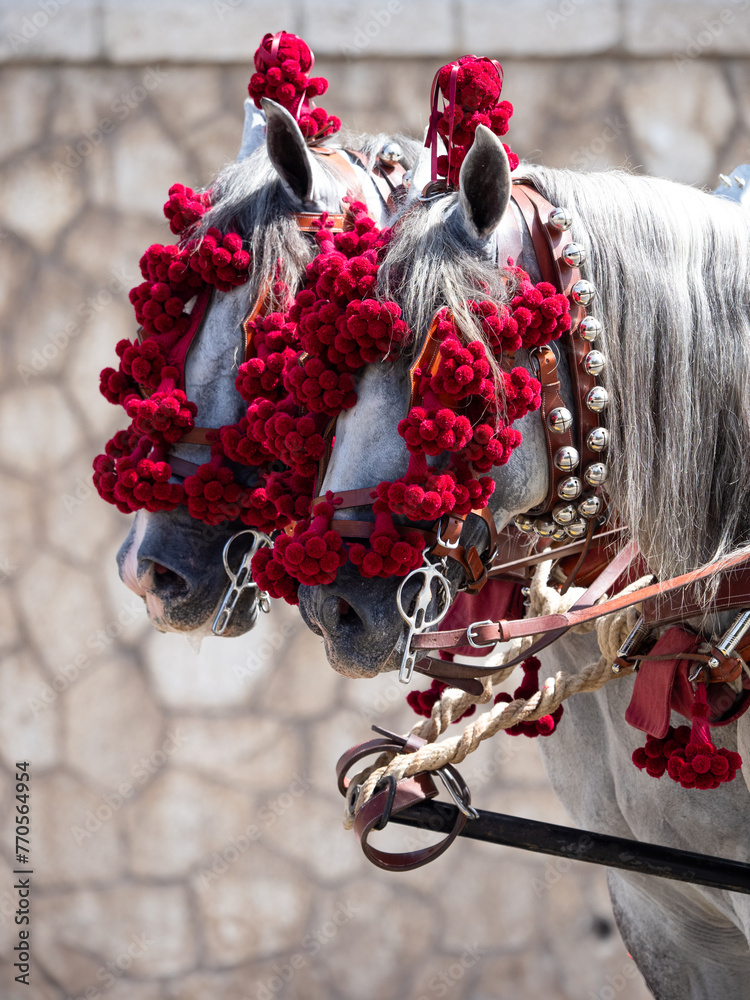 Ornaments on the head of carriage horse - obrazy, fototapety, plakaty 