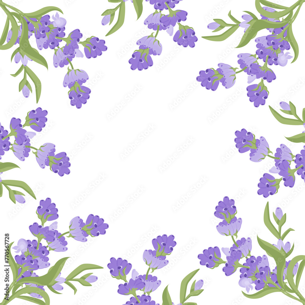 Decorative frame of lavender flowers for your design. Vector illustration isolated on white background. Decorative frame of lavender flowers for your design. Vector illustration isolated on white background.