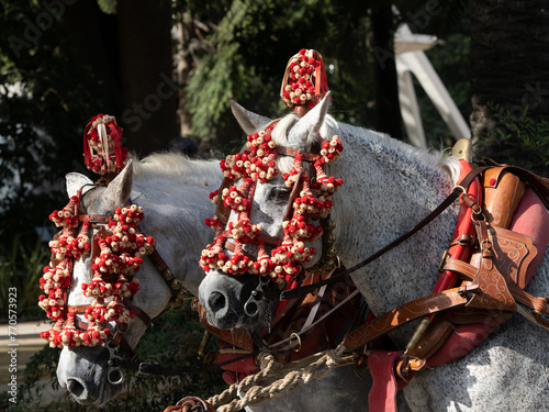 Ornaments on the head of carriage horses