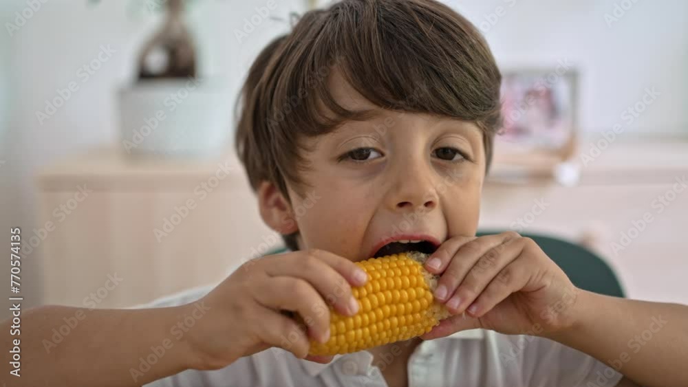Young Boy Enjoys Twirling And Gnawing At A Corn Cob That Slipped From His Hands Young Boy Enjoys Twirling And Gnawing At A Corn Cob That Slipped From His Hands