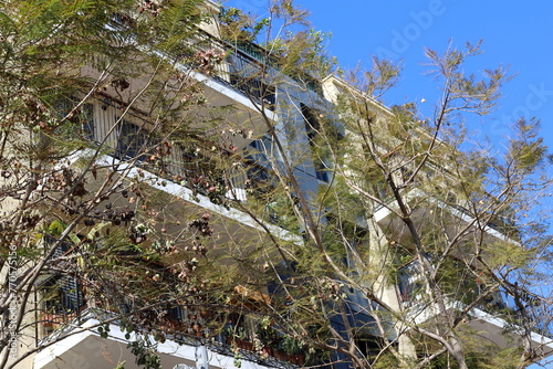 Tel Aviv Israel 03/28/2024. Buildings and structures of Tel Aviv through the foliage of tall trees. photo