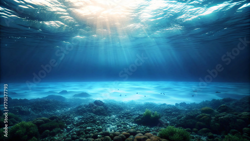Sunlit Underwater Coral Reef Scene in the Sea