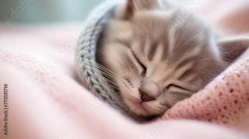 A close-up of a sleepy grey kitten with a dainty pink nose curled up on a soft white blanket, radiating pure charm.
