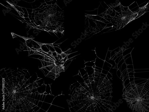 Spider web texture stock image use black background