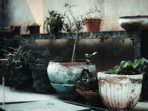 Vászonkép old flower pots in cinematic style