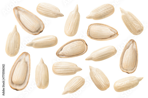 Big set of open sunflower seeds in half shells isolated on white background