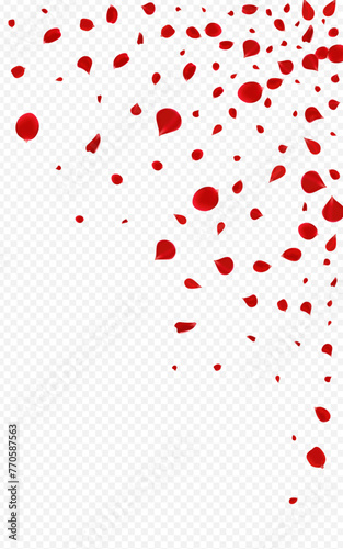 Red_Rose_Petal_Transparent_Background_232.eps