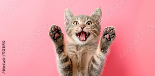 A cat is shown with its mouth open and its paws raised in the air. The cat appears to be happy and excited, possibly because it has just caught a mouse or is playing with a toy photo