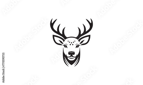 face of deer on white background