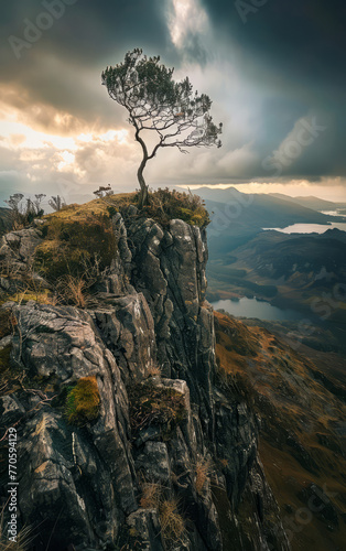 A lone tree stands on a rocky mountain top. The sky is cloudy and the sun is setting