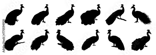 Peacock bird silhouette set vector design big pack of illustration and icon