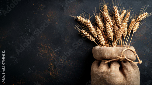A bag of wheat is sitting on a black background. The wheat is golden and he is freshly harvested. The bag is made of burlap and is tied with a rope