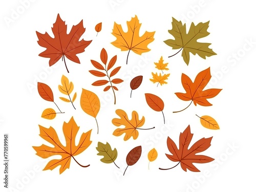 autumn leaves shapes isolated on white background  ready for design 