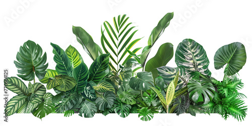 Green and variegated leaves of tropical foliage plants bush with various types of ferns, philodendron, Calathea peacock plant, and Ti plant, isolated on transparent background