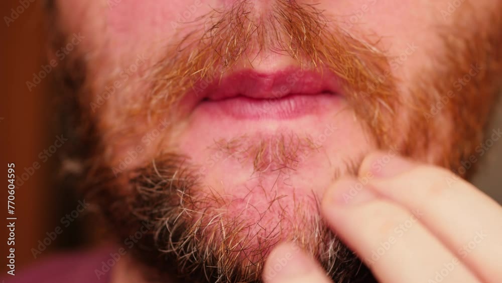 close-up of a man touching his beard while looking at the camera. unshaven view of a young man touching his stubble close-up of a man touching his beard while looking at the camera. unshaven view of a young man touching his stubble