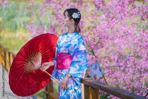 Pretty girl in a Yukata dress.  A young Asian woman wearing a traditional Japanese kimono or Yukata dress holding a red umbrella is happy with sakura flowers or cherry blossoms blooming in the park.